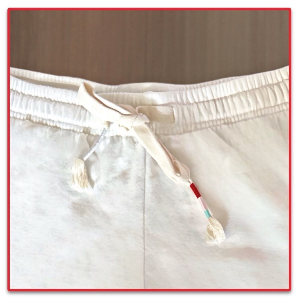 NWT Wildfox Miami Pride Shorts - Picture 15 of 16